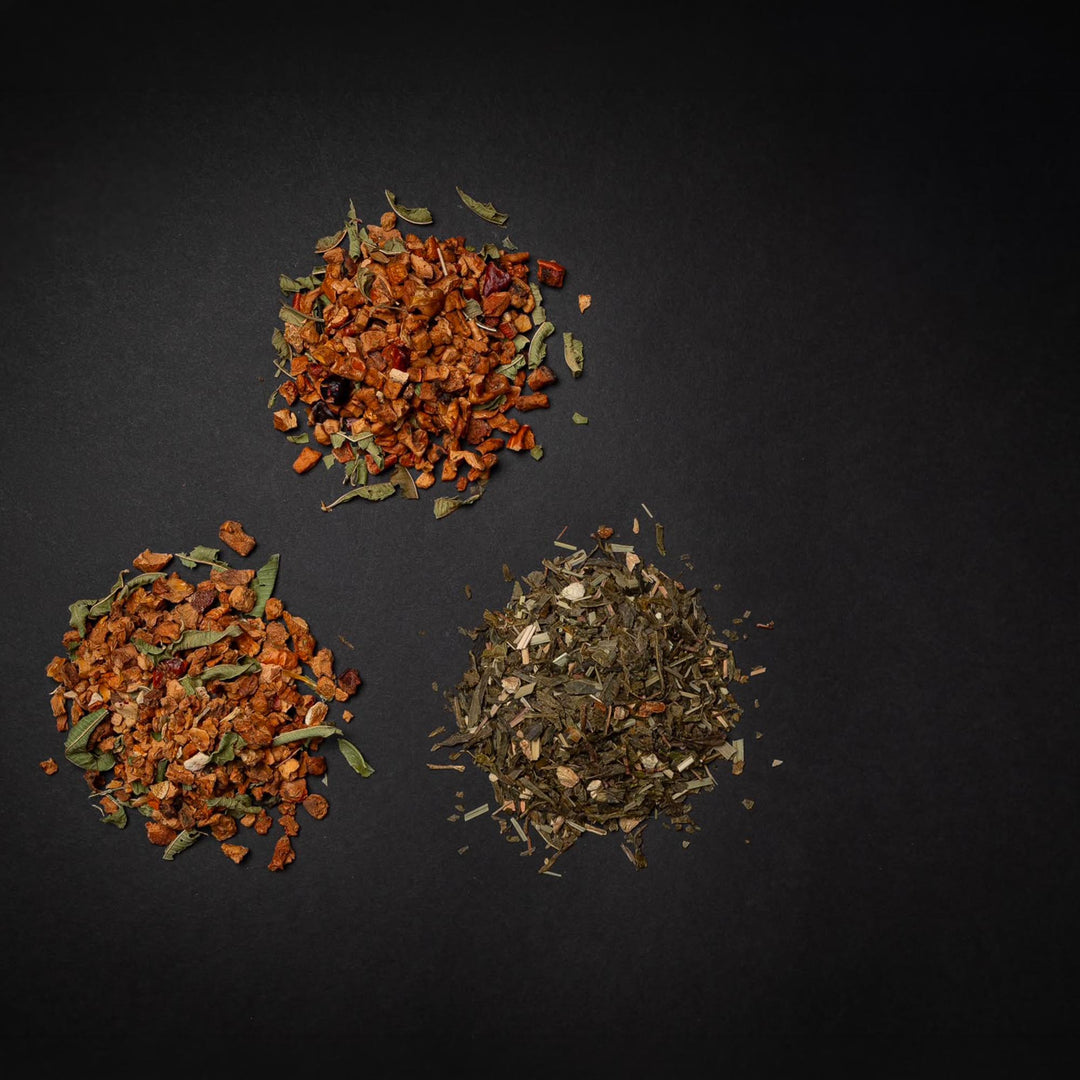 Loser Tee im Kraftquelle Trio: Bio Ingwer-Zitrone, Bio Melisse-Mandarine und Zitrus-Waldfrucht als aromatische Tee-Auswahl